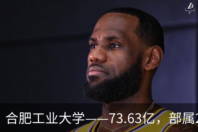 合肥工业大学——73.63亿，部属211，为什么跑不赢同级别院校