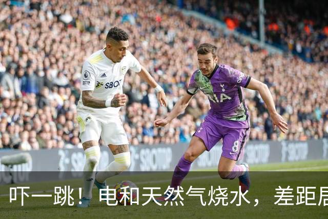 吓一跳！电和天然气烧水，差距居然能差出一个月菜钱！