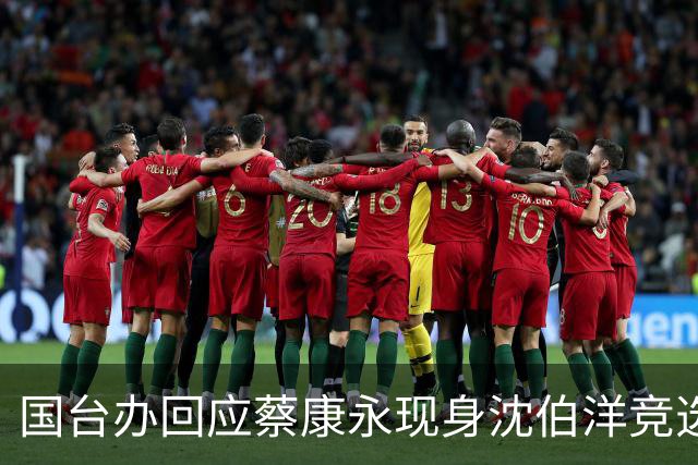 国台办回应蔡康永现身沈伯洋竞选活动