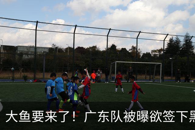 大鱼要来了！广东队被曝欲签下黑硬中锋，力保亚帅进总决赛？