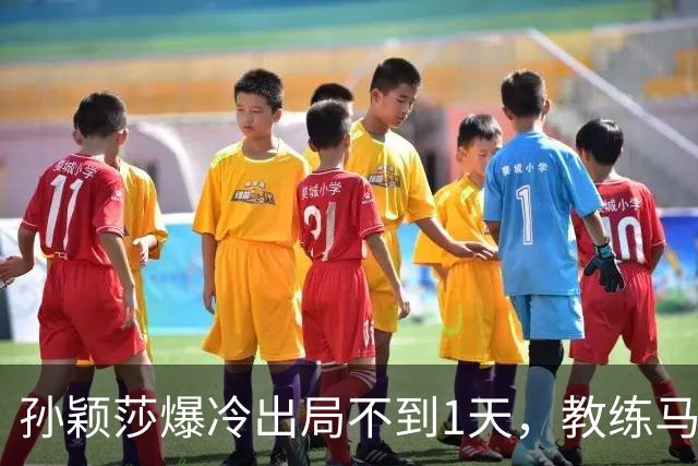 孙颖莎爆冷出局不到1天，教练马琳仅凭一个举动，实现口碑暴增