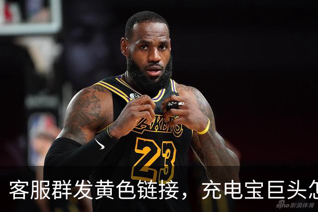 客服群发黄色链接，充电宝巨头怎么了？