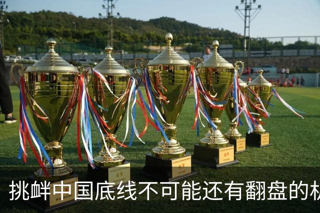 挑衅中国底线不可能还有翻盘的机会，联合国安理会11票直接劝退！