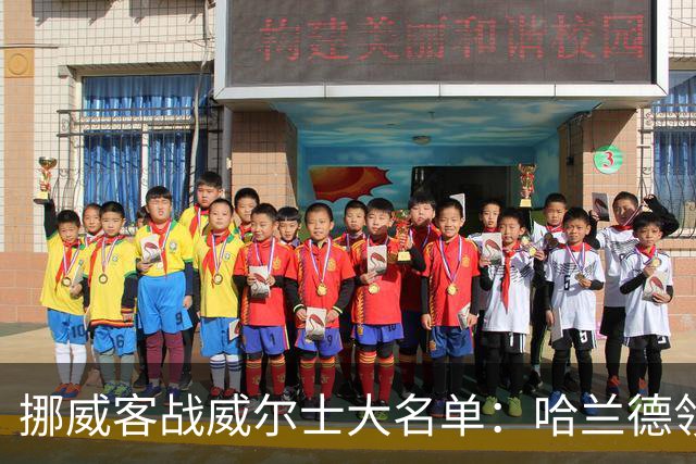 挪威客战威尔士大名单：哈兰德领衔，此前身体不适的厄德高入选