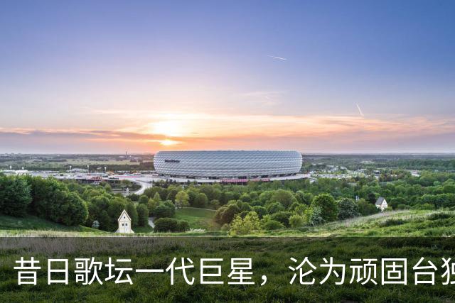 昔日歌坛一代巨星，沦为顽固台独分子，最后落得个家破人亡结局