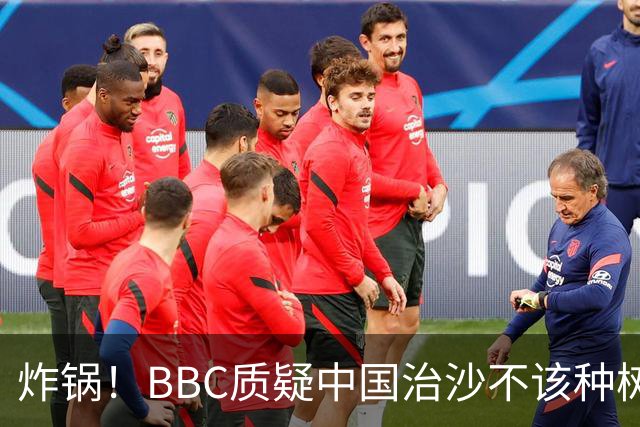 炸锅！BBC质疑中国治沙不该种树，联合国：世界防治荒漠化看中国