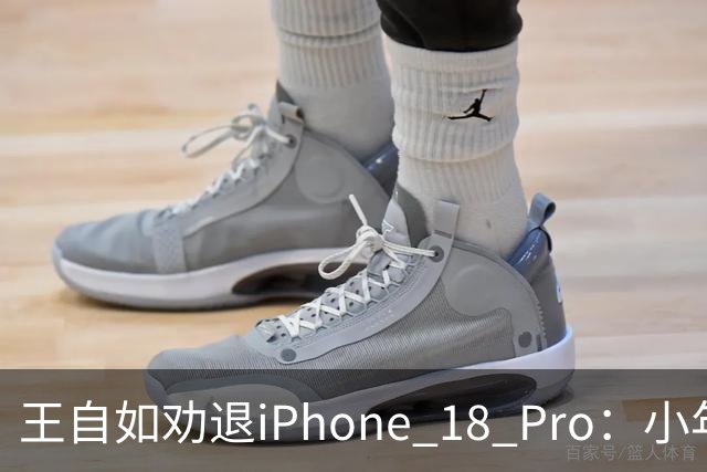 王自如劝退iPhone 18 Pro：小年产品别花冤枉钱，三个理由句句扎心