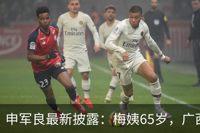 申军良最新披露：梅姨65岁，广西人！