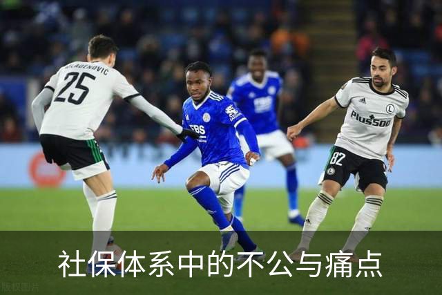 社保体系中的不公与痛点