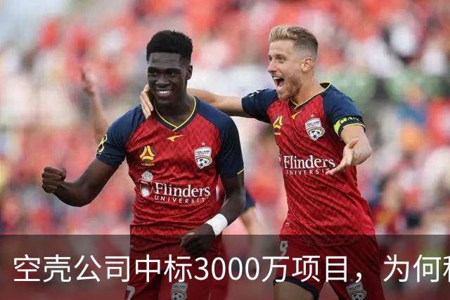 空壳公司中标3000万项目，为何程序严谨而结果荒诞