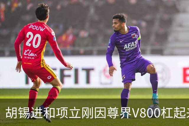 胡锡进和项立刚因尊界V800杠起来了：项立刚建议人人买一辆，支持民族企业！胡锡进认为企业底线要守住
