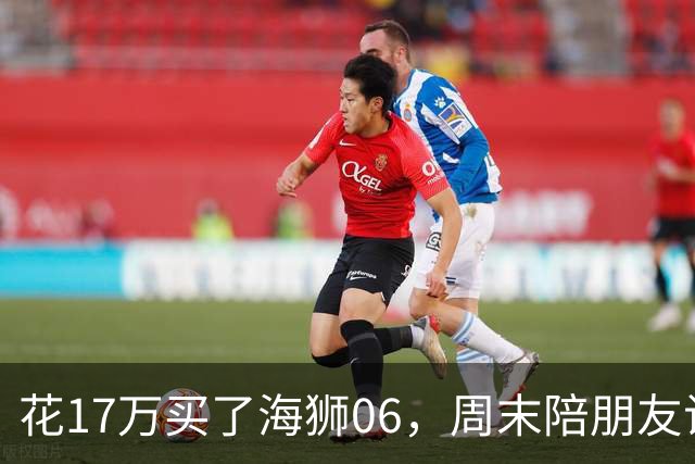 花17万买了海狮06，周末陪朋友试驾理想L6，坐进去心态有点崩