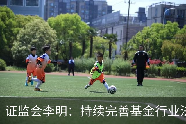 证监会李明：持续完善基金行业法规制度 推进资本市场高水平对外开放