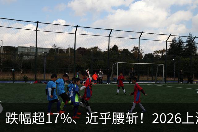 跌幅超17%、近乎腰斩！2026上海楼市真正的重灾区在哪？
