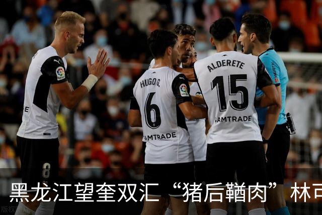 黑龙江望奎双汇“猪后鞧肉”林可霉素残留超标，双汇及其控股子公司被罚款近7000万元，双汇致歉：对现有食品安全管理体系进行全面整改完善