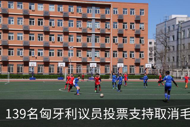 139名匈牙利议员投票支持取消毛焦尔豁免权，他面临盗窃指控